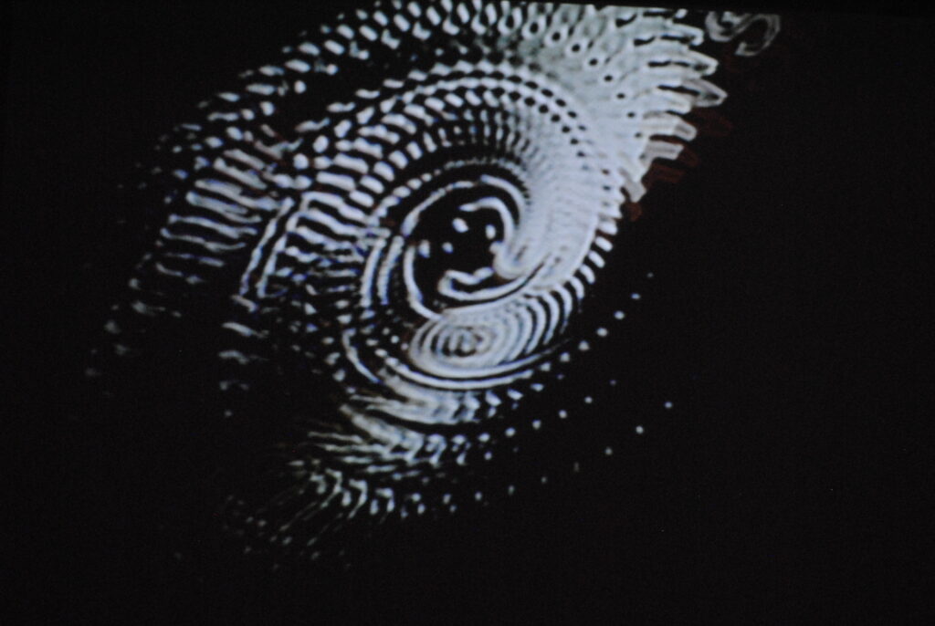 Fotografia przedstawia fragment ekranu z projekcją z wystawy „#1050” tworzonej poprzez zniekształcanie medium obrazu analogowego. Na czarnym tle biały obraz budują jakby ślady liter i słów poddanych ruchowi wirowemu.