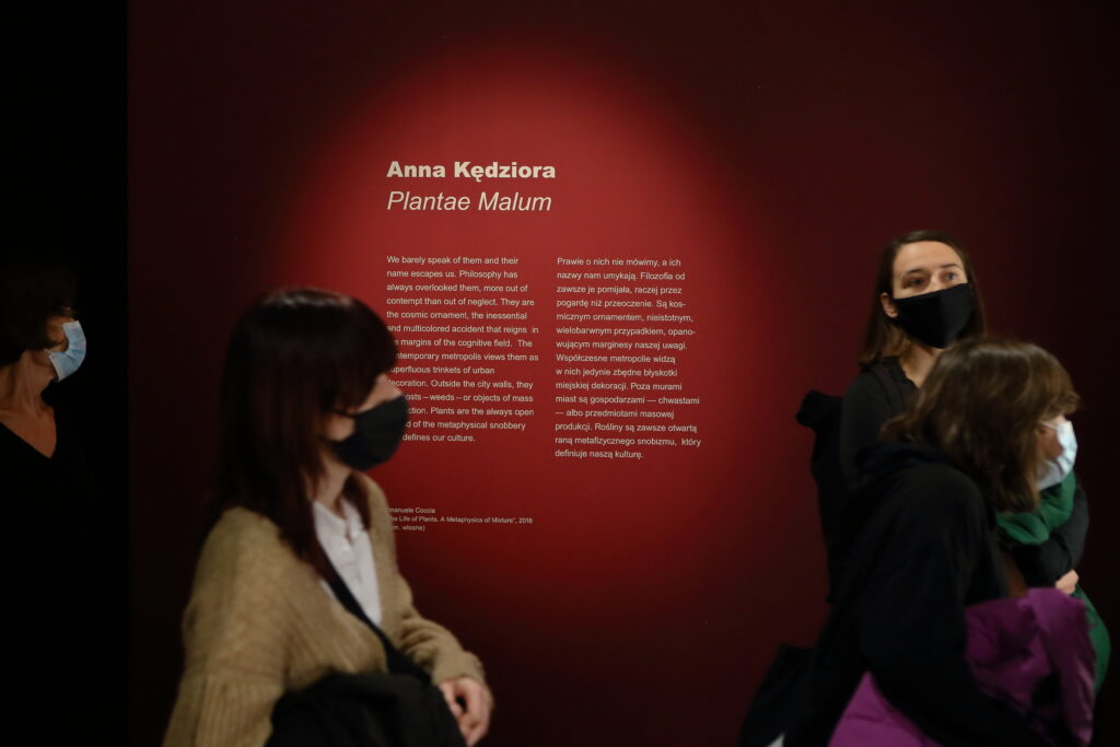 Ciemno-czerwona ściana na niej napis: Anna Kędziora "Plantae Malum" i drobniejszymi literami opis wystawy. Wokół napisu sylwetki ludzi, którzy przyszli na wernisaż.